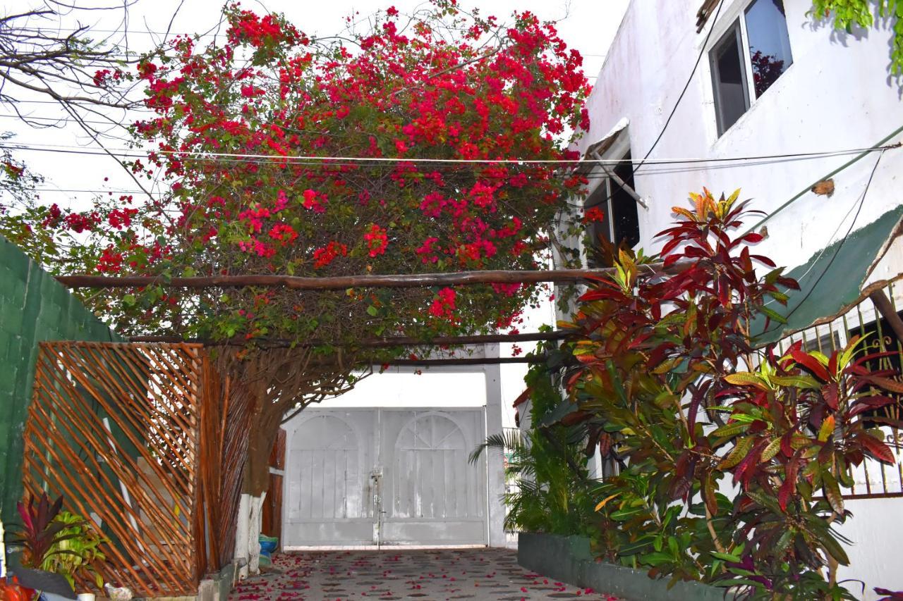 Lobo Inn Tulum Esterno foto