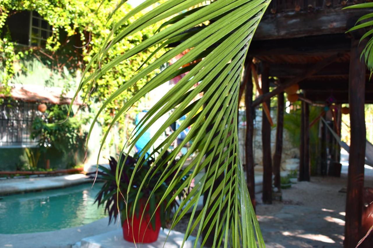 Lobo Inn Tulum Esterno foto
