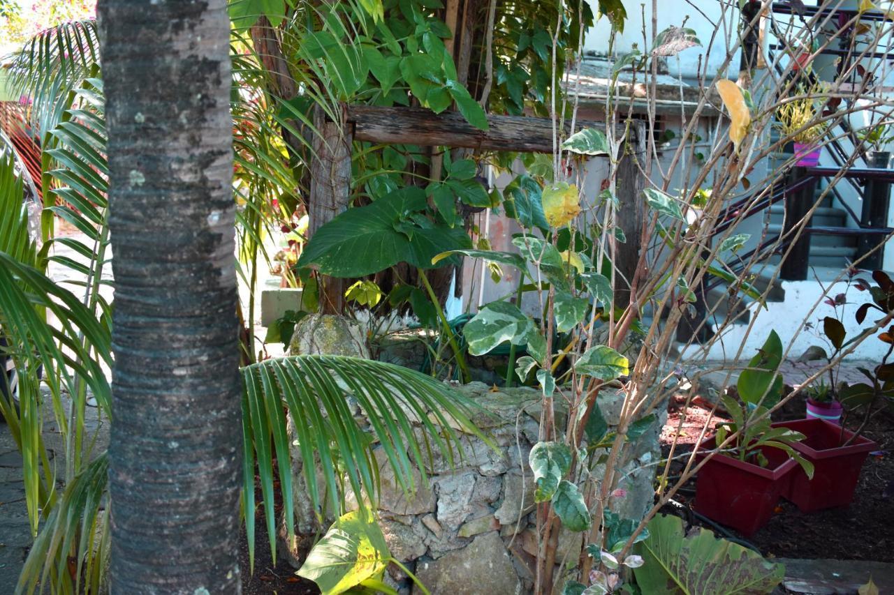 Lobo Inn Tulum Esterno foto