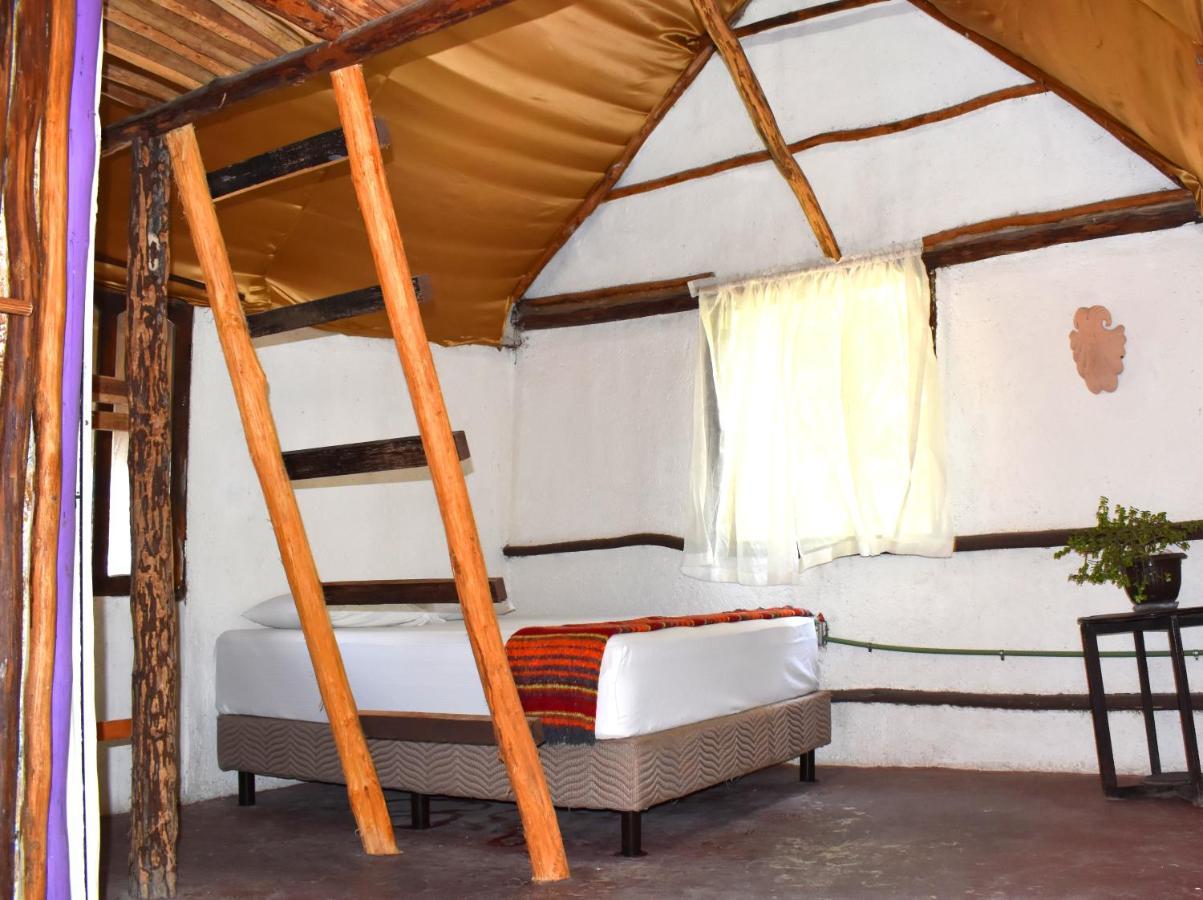 Lobo Inn Tulum Esterno foto