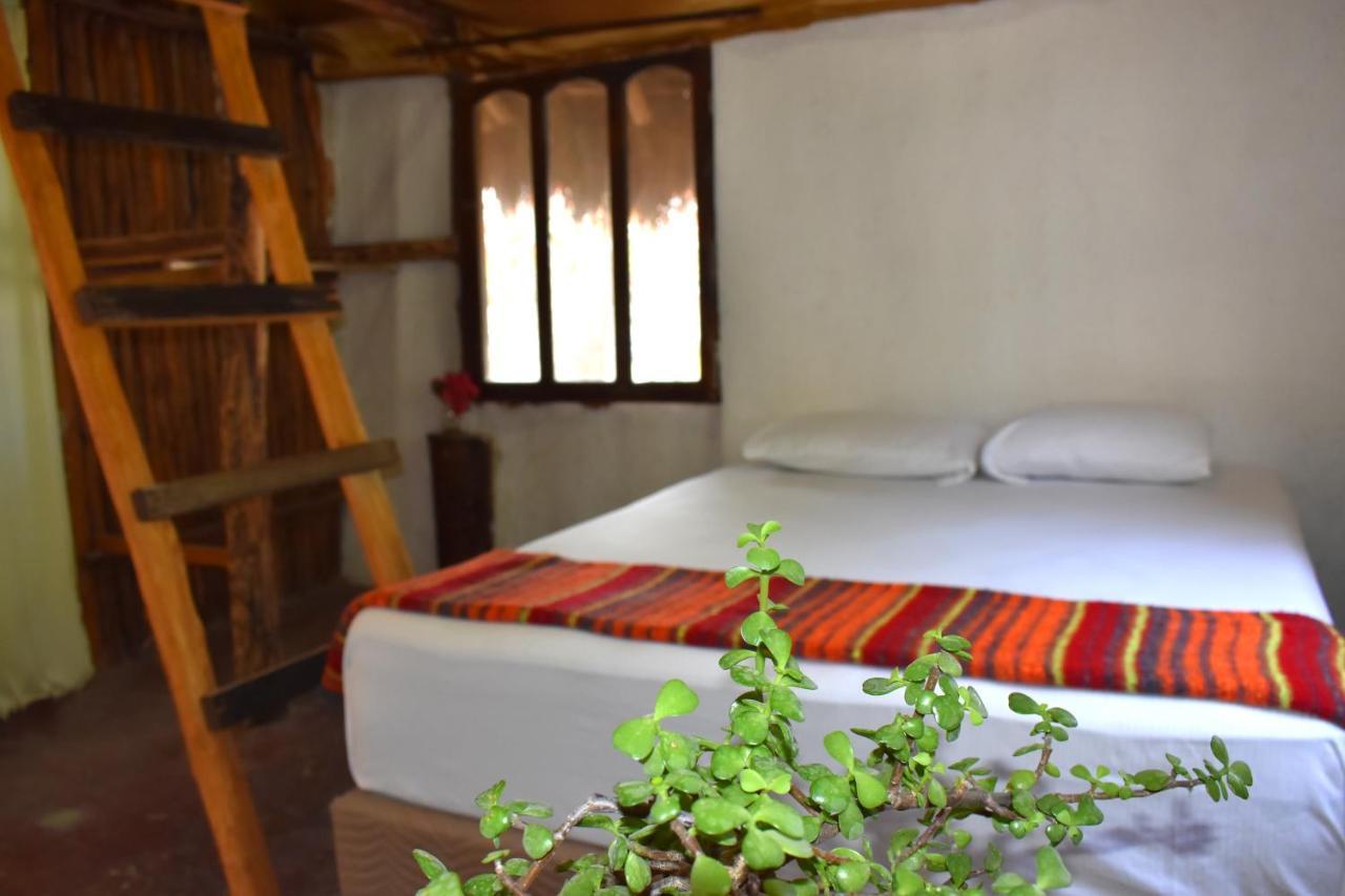 Lobo Inn Tulum Esterno foto