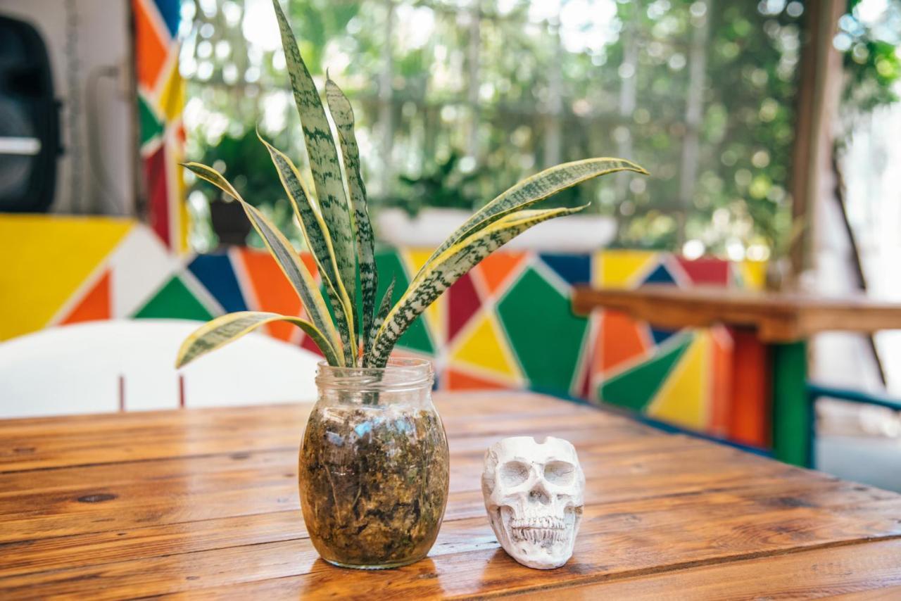 Lobo Inn Tulum Esterno foto