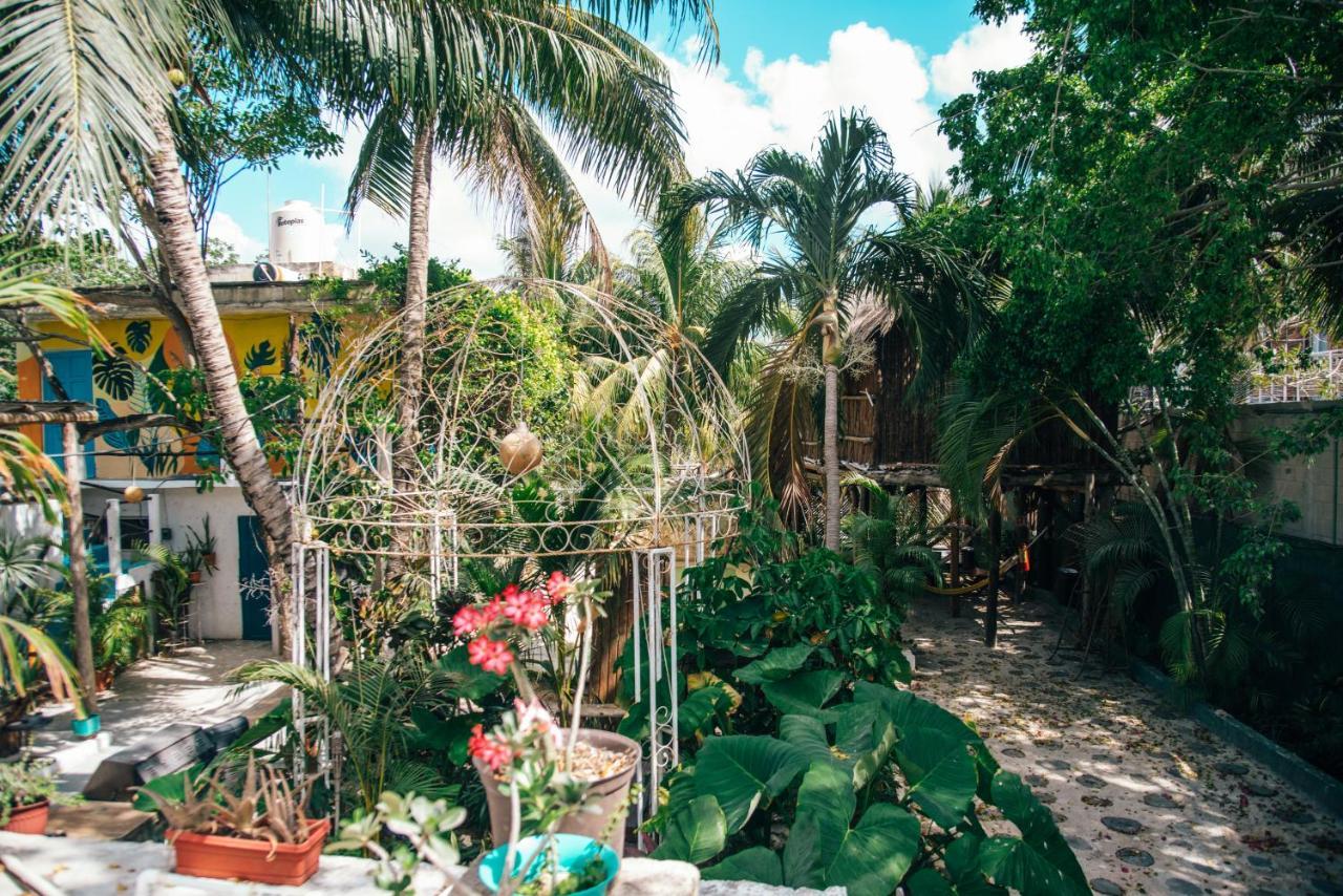 Lobo Inn Tulum Esterno foto
